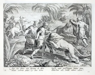 Afrikaner jagen Löwen, indem sie ihre Köpfe bedecken und ihnen dann eine tödliche Wunde zufügen, Illustration aus 